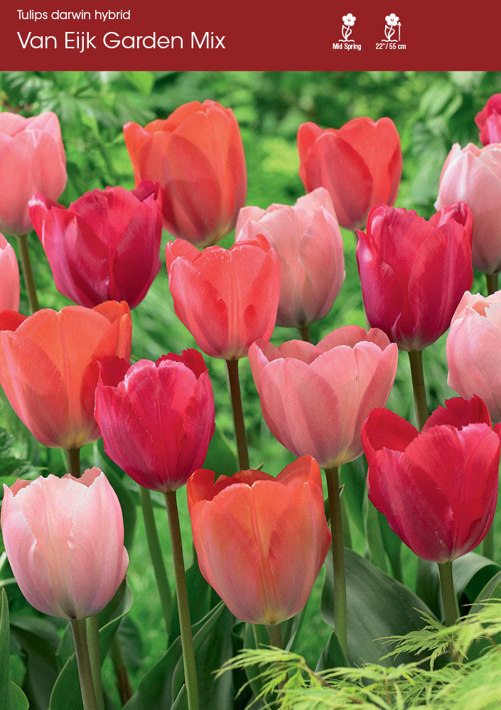 Van Eijk Garden Mix
